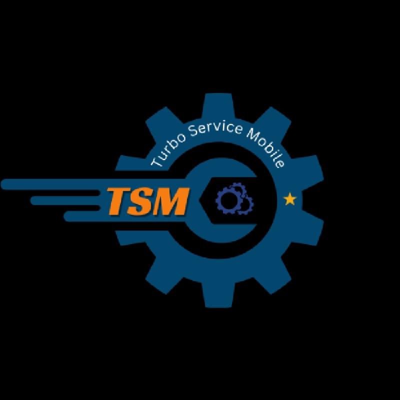 TSM-Pro Add Credits